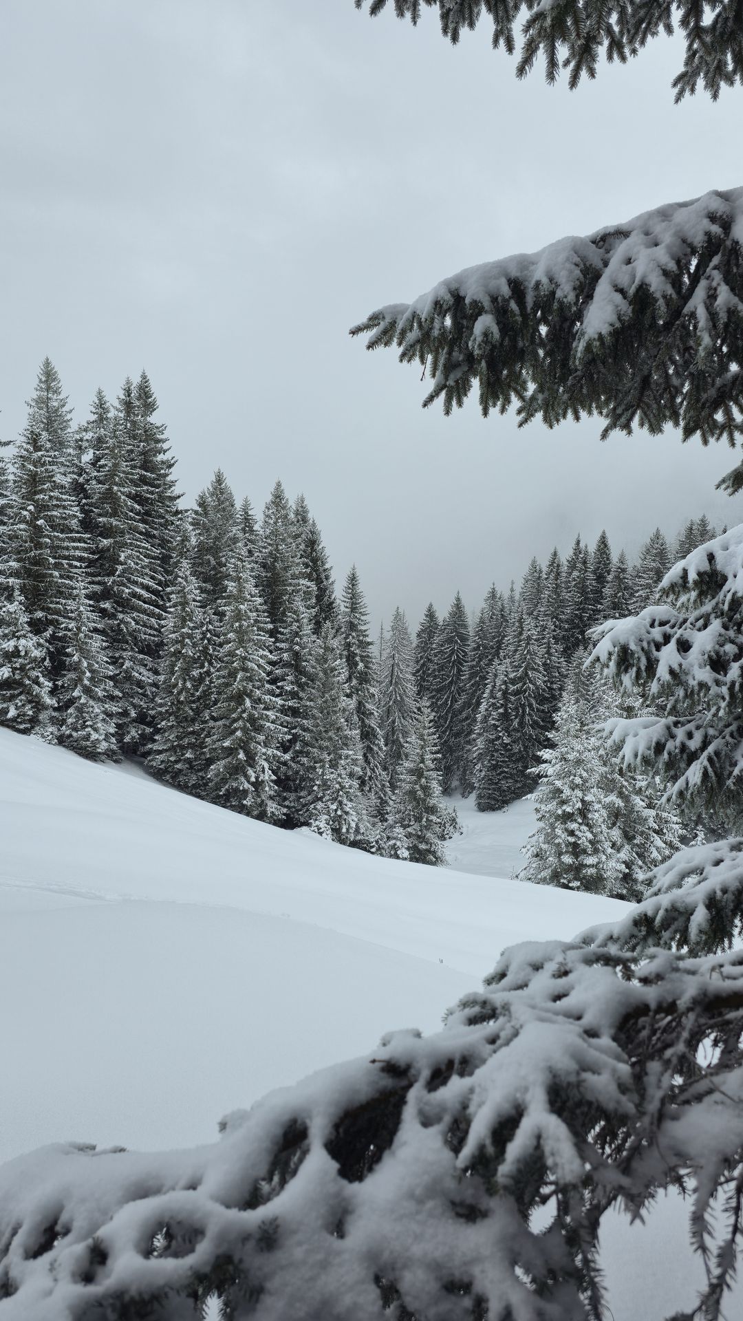 Weg von der Piste, rein ins Abenteuer