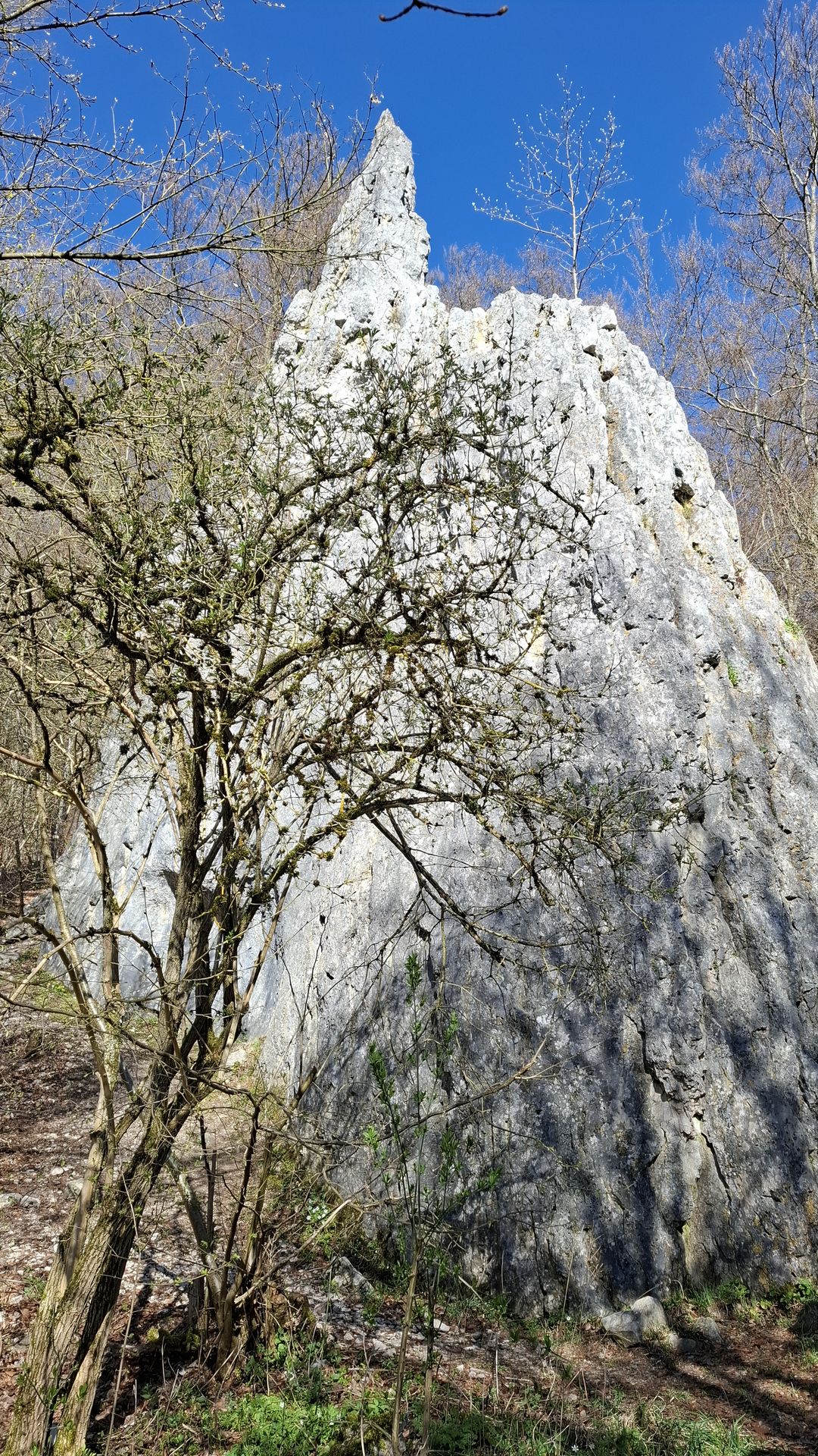 Frische Luft statt Hallenmuff (FLINTA* only)