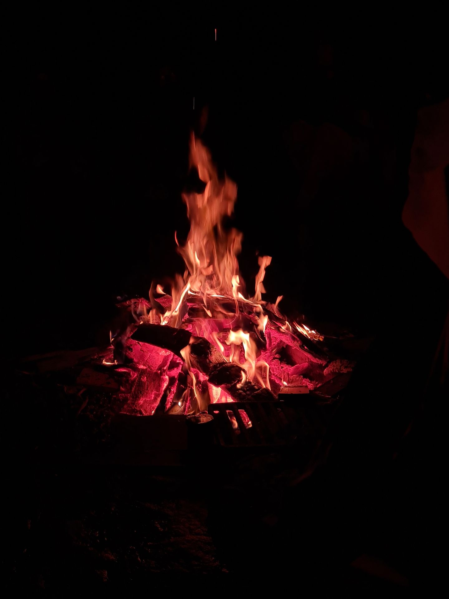 Survival light